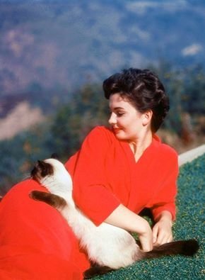 jean simmons