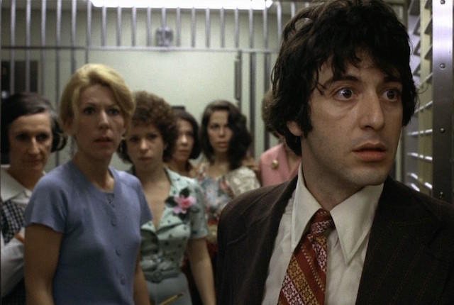 al pacino dog